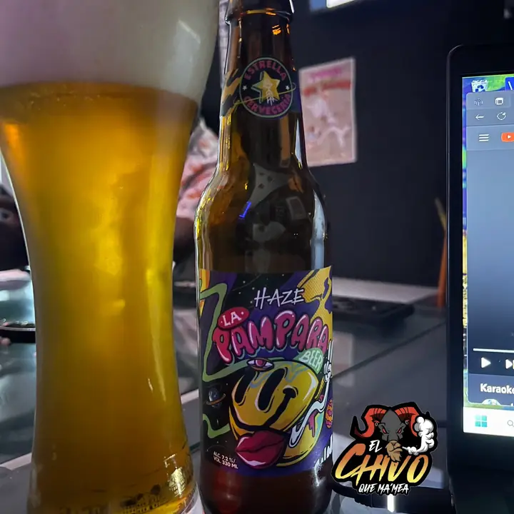 Un vaso de cerveza y su botella sobre la barra